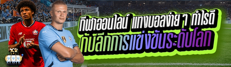 กีฬาออนไลน์ แทงบอลง่ายๆ กำไรดี กับลีกแข่งขันระดับโลก
